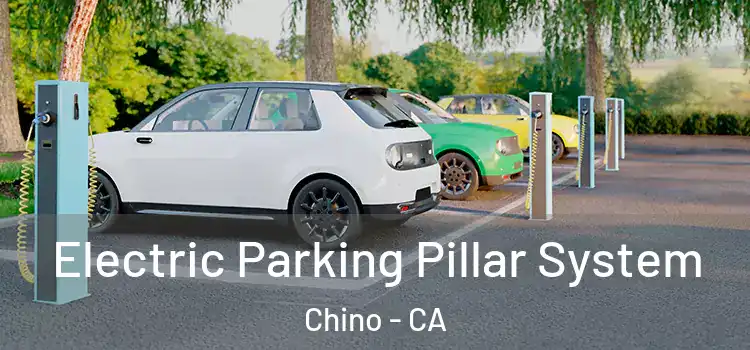 Electric Parking Pillar System Chino - CA